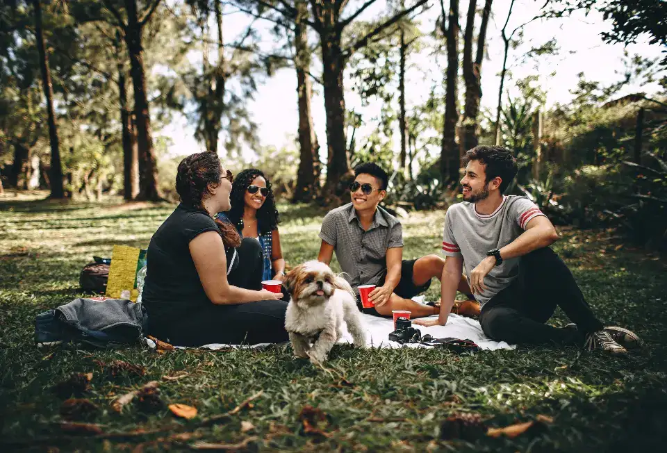 Friends on a picnic blanket in the park